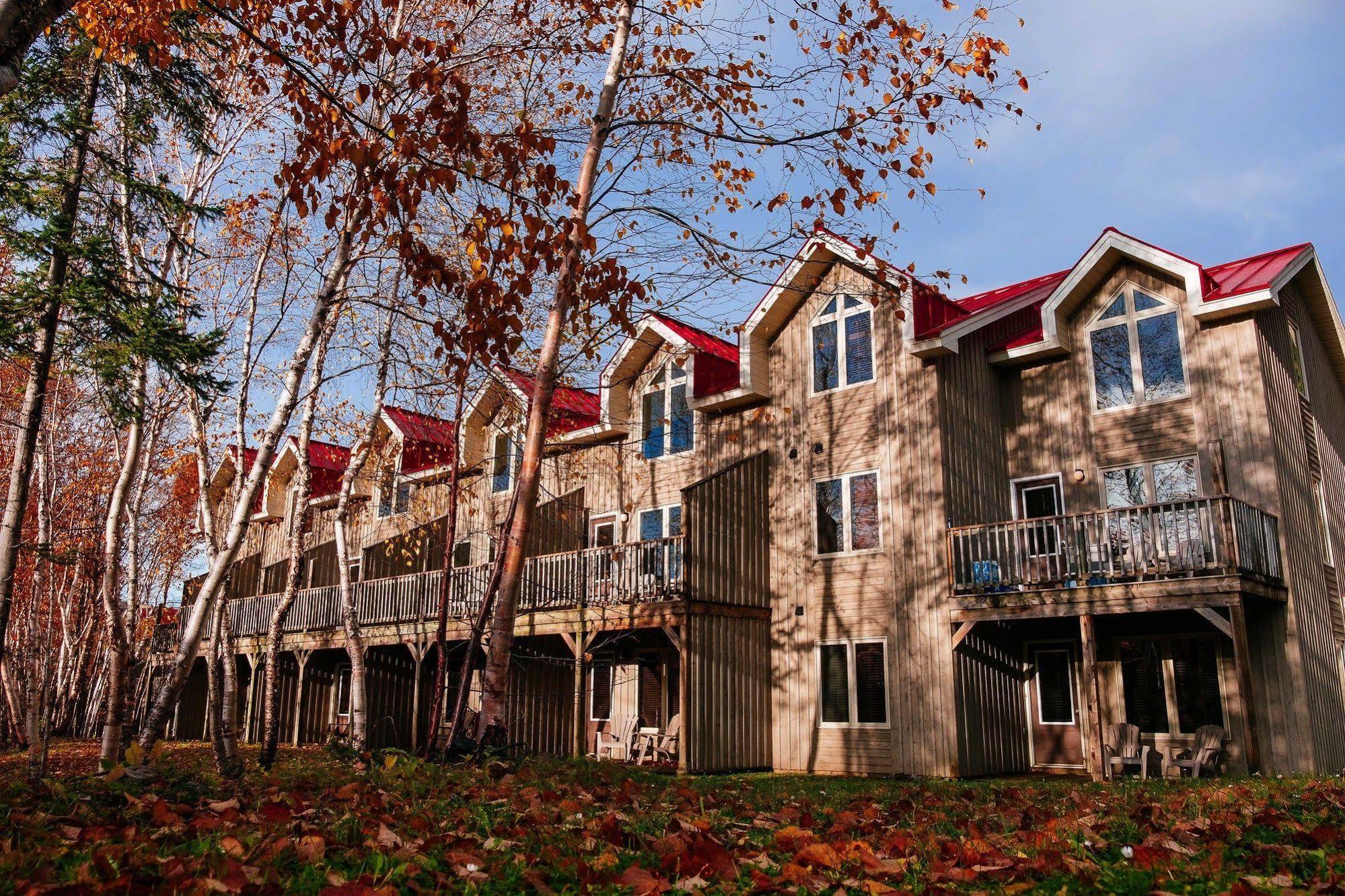 Marblewood Village Resort Steady Brook Buitenkant foto
