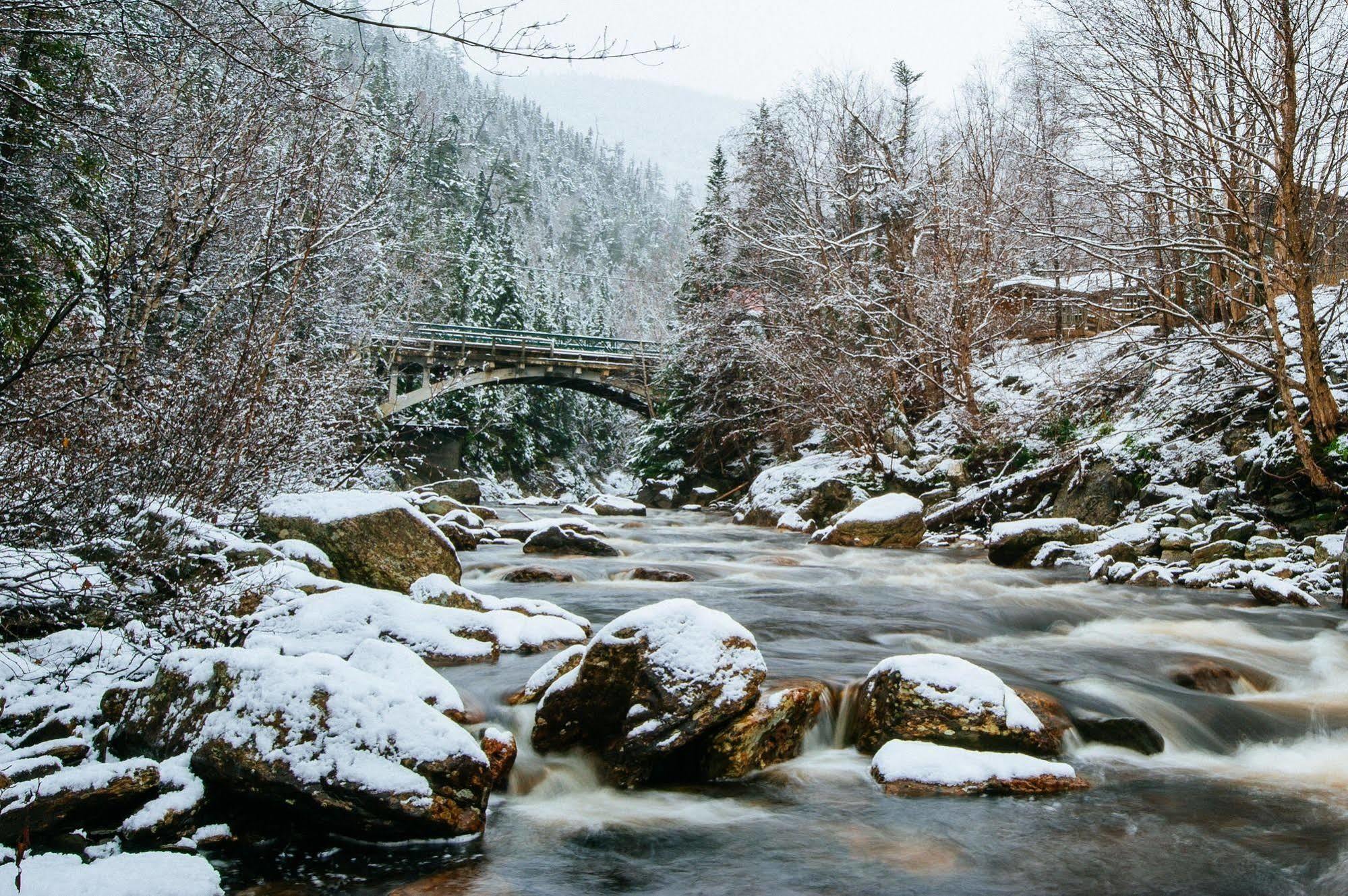 Marblewood Village Resort Steady Brook Buitenkant foto